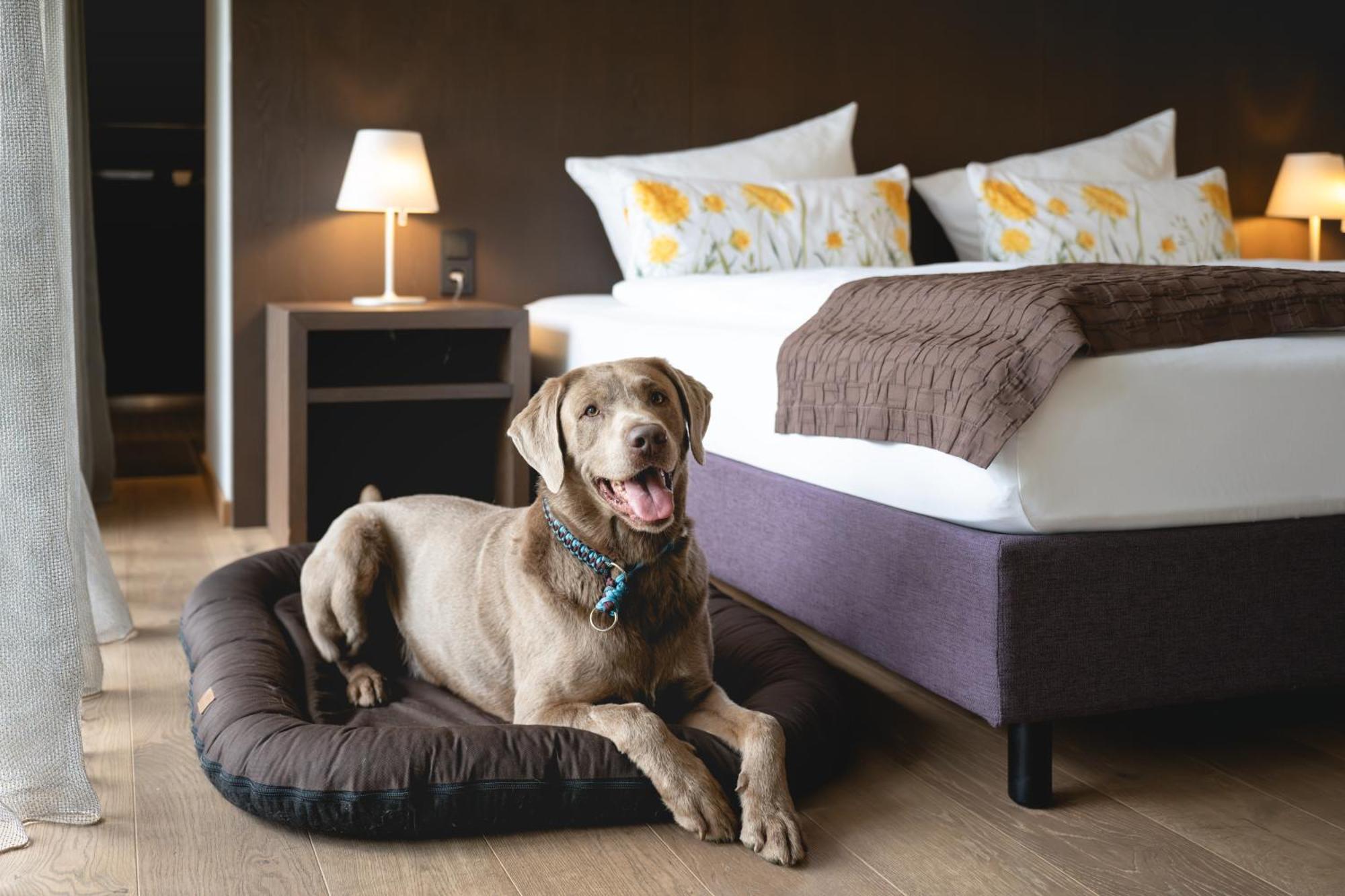 Golfhotel Gut Neuenhof Frondenberg Luaran gambar